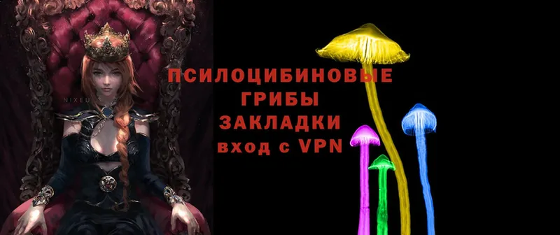 OMG tor  Полтавская  Псилоцибиновые грибы Magic Shrooms 